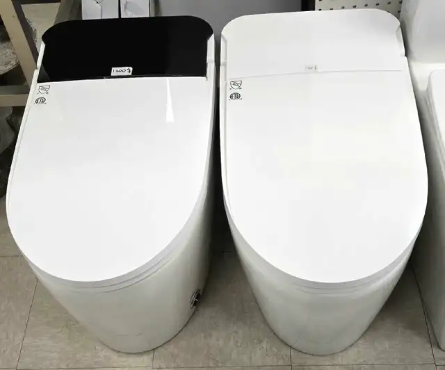 Toilettes Monobloc 63654761284993124