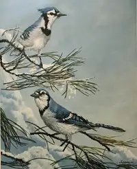 REDUCED PRICE Vic Gibbons “Snowy Pine Jays” Fine Art Giclée