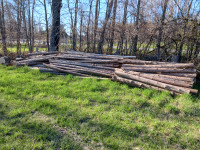 Cedar posts and rails