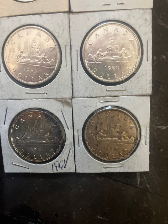 Silver dollars in Arts & Collectibles in Moncton - Image 2