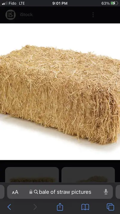Straw bales for sale, View more