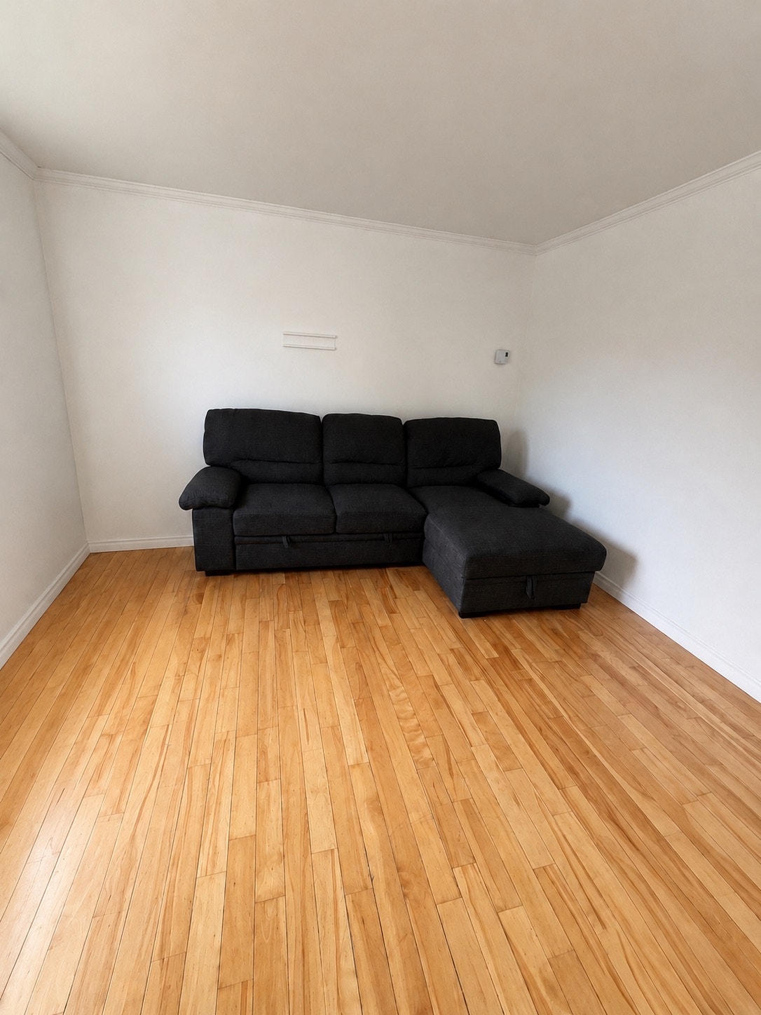 3100 Rue de Beaujeu — photo 3