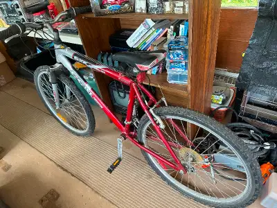 CCM BIKE ALUMINUM FRAME AND RIMS, View more