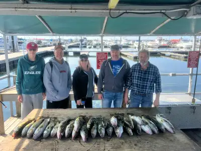 LAKE ERIE WALLEYE FISHING CHARTER , View more