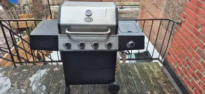 Home BBQ with extras, View more