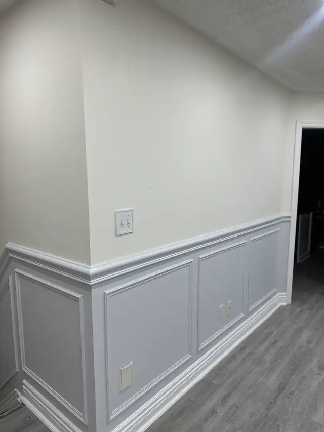 Professional painters457023610852495361
