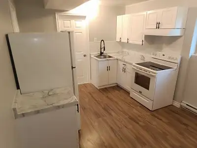 Renovated 1-Bedroom Apartment