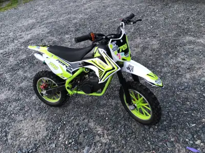 300 for each 600 for both got the green one in 2024 they both run great I am just looking for a bigg...