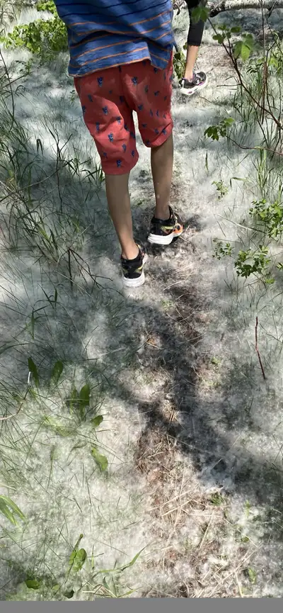 Respite Childcare, View more