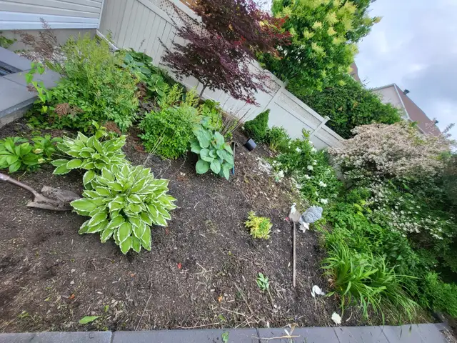 Spring yard clean up417316098267555840