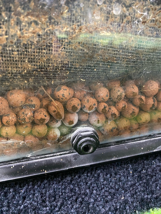 Exo Terra Dart Frog Enclosure in Reptiles & Amphibians for Rehoming in Kawartha Lakes - Image 2