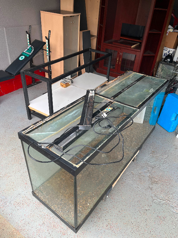 120gal Aquarium With Stand in Accessories in Calgary - Image 3