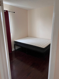 3 rooms for rent 