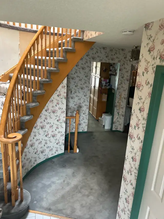 Professional painter65669420946818120