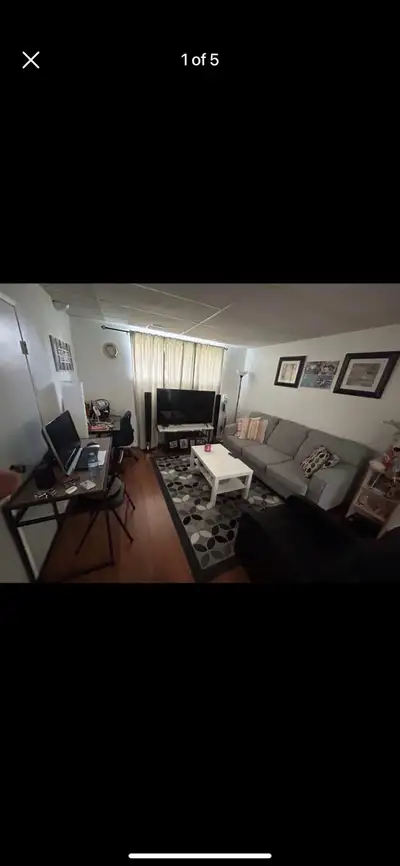 Basement for rent at marlborough