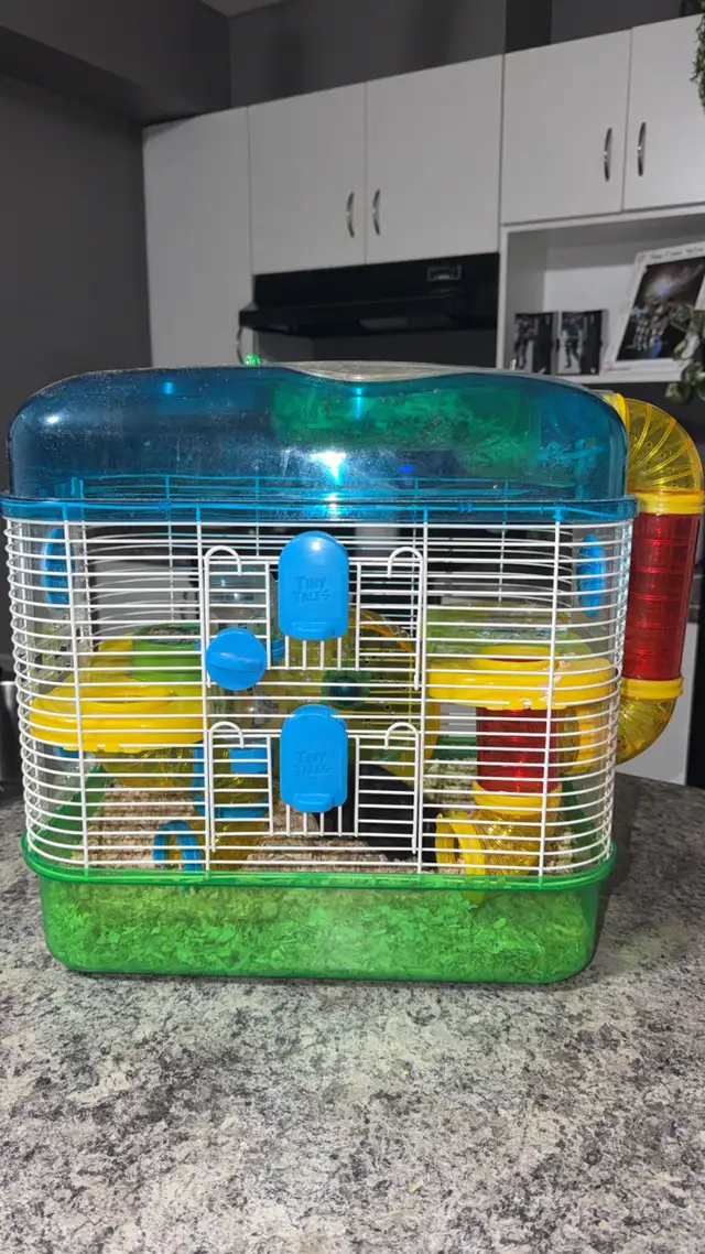 hamster and hamster accessories in Small Animals for Rehoming in Red Deer - Image 2