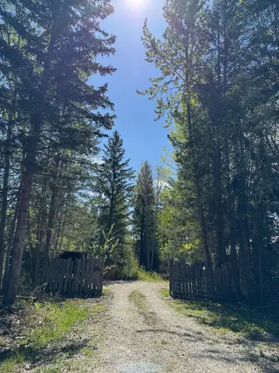 .65 of an acre in Quesnel sought after red bluff/richbar area close to the nursery. Drilled and capp...