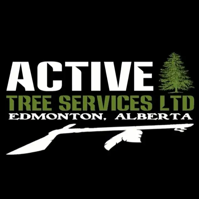 TREE REMOVAL AND CARE *Google Guaranteed Company628632278685461215