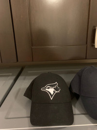 NEW Jays hats & fox