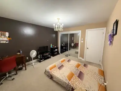 Room for Rent