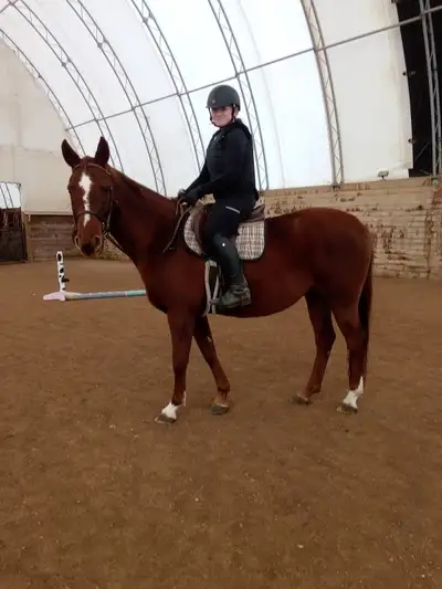 Riding Lessons, View more