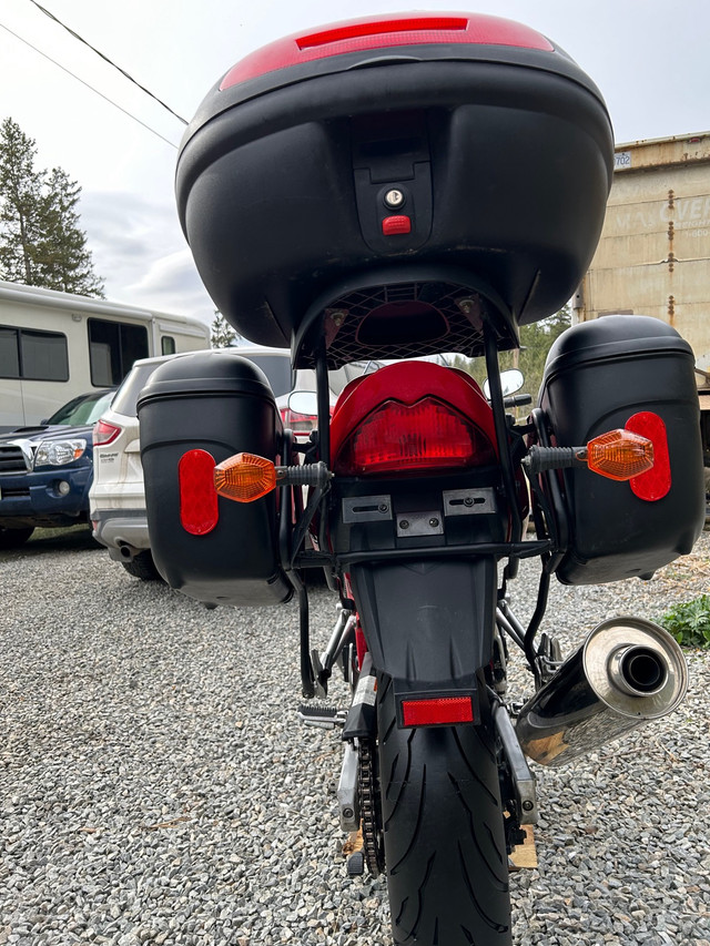 2005 almost pristine Suzuki 650 Bandit in Sport Touring in Vernon - Image 2