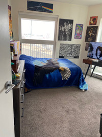 Roommate needed for a 2 bedroom 2 bathroom unit August 1st