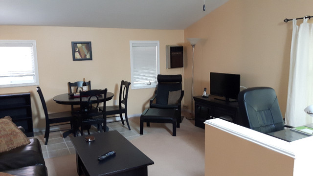 Fully- Furnished Large Studio Apartment- available immediately in Long Term Rentals in Kingston