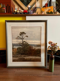 “Lichen and Pine”, S/N Photography Print