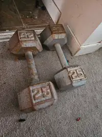 2 weights