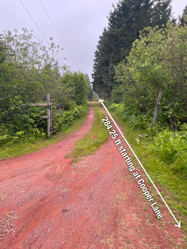 PEI Cottage Lot with 260 ft of shoreline in Land for Sale in Summerside - Image 3