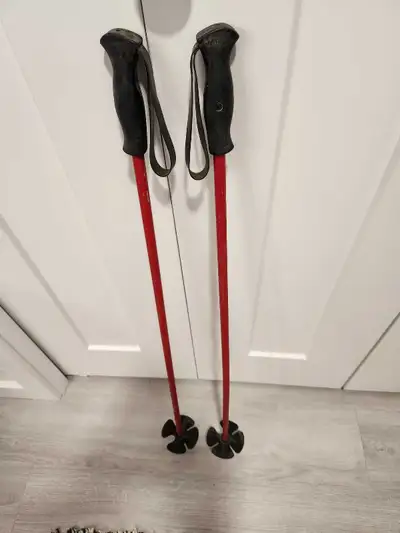 Kids ski poles, View more