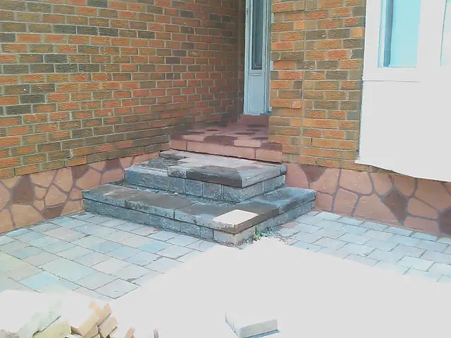 Professional Painter507645034381987847