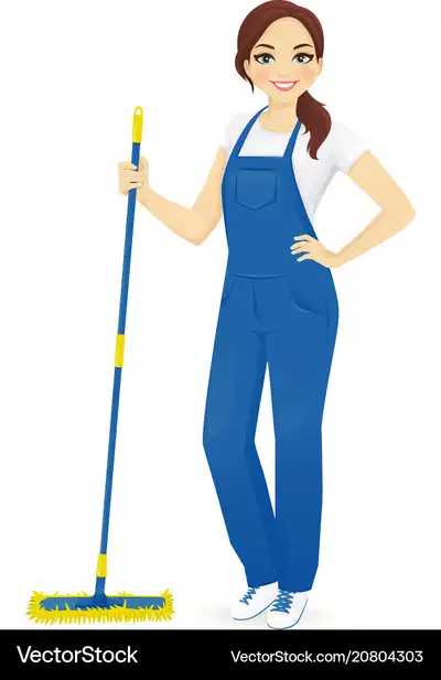 seeking cleaning job, View more