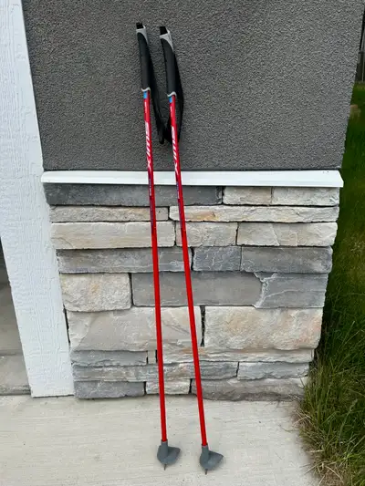 Swix Junior Ski Poles, 110 cm, View more