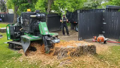 Quality Low Cost Stump Grinding, View more