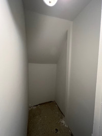 Drywall - plaster -taper -mold removal 