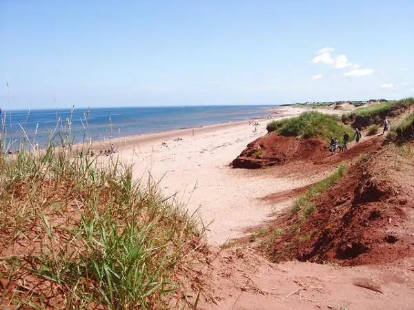 North Shore PEI Cottage Rental in Prince Edward Island in Canada - Image 11