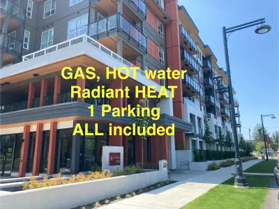 NEW Corner Condo (gas, hot water, radiant heat included)