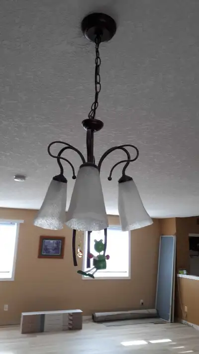 kitchen/dining light, View more