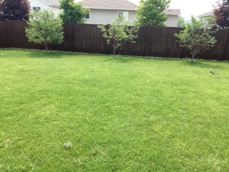 5 bedrooms 3 bathrooms detached house for rent Long Term Rentals