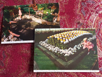 Centennial conservatory postcards