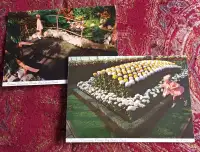 Centennial conservatory postcards