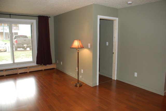 Newly Renovated South East Edmonton Apartment Condo for Sale in Condos for Sale in Edmonton - Image 2