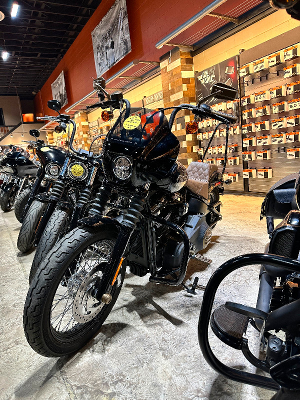 2020 Harley Davidson Street Bob - ONLY 1,500KM in Street, Cruisers & Choppers in Calgary