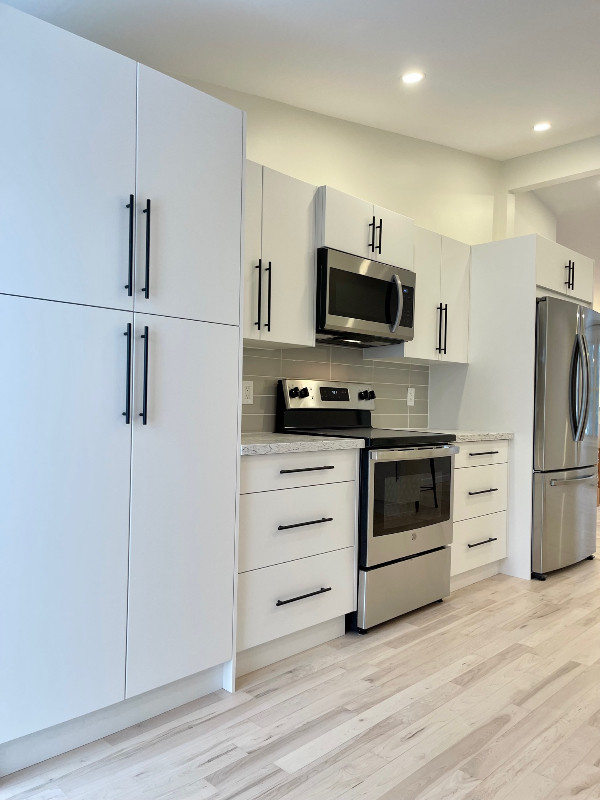 Stunning House For Rent Fergus Raised Bungalow Fully Renovated. Long