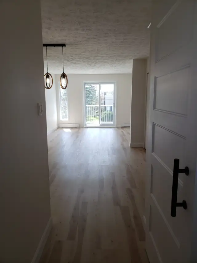 Magog...superbe 5 1/2 lumineux!