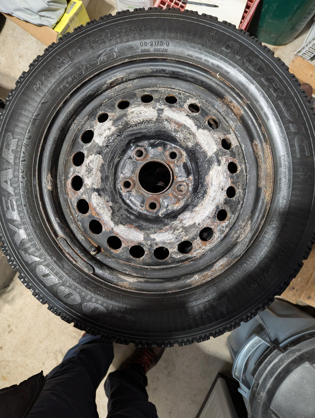 Winter tires - 215/60R16 in Tires & Rims in Kitchener / Waterloo