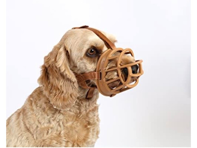 Baskerville Ultra Muzzle, Tan, Size 2 DOG in Accessories in Pembroke - Image 2