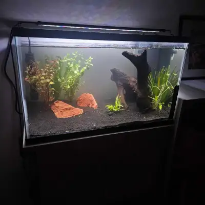10 gallon aquarium, View more
